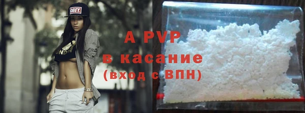индика Алексин