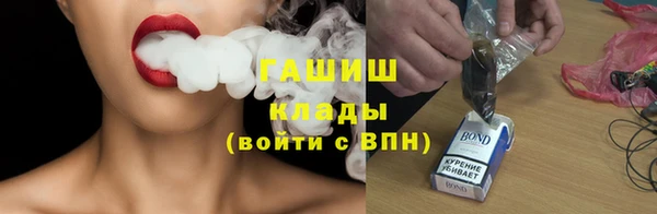 шишки Арсеньев