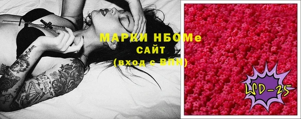 шишки Арсеньев