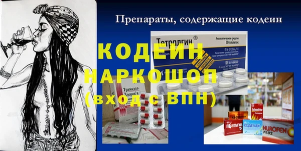 шишки Арсеньев