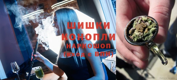 шишки Арсеньев